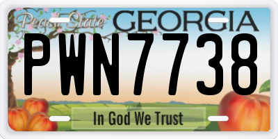 GA license plate PWN7738