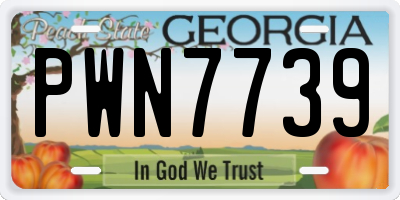 GA license plate PWN7739
