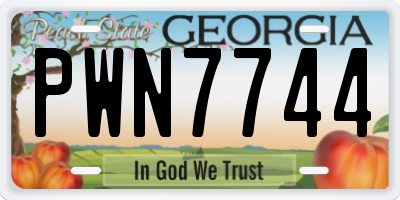 GA license plate PWN7744