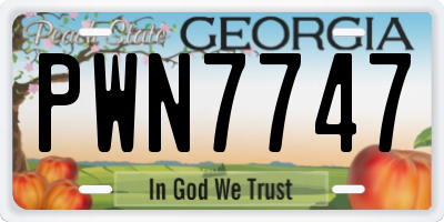 GA license plate PWN7747