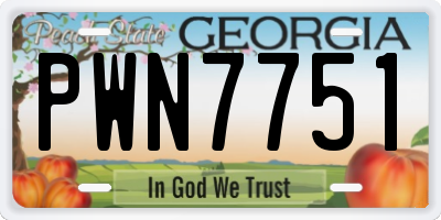 GA license plate PWN7751