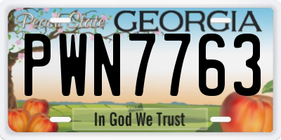 GA license plate PWN7763