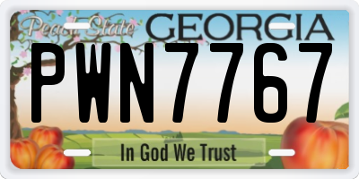 GA license plate PWN7767