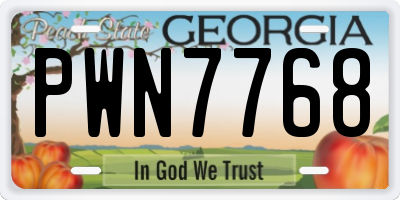 GA license plate PWN7768