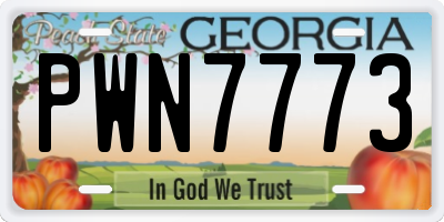 GA license plate PWN7773