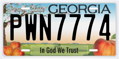 GA license plate PWN7774
