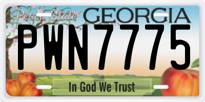 GA license plate PWN7775