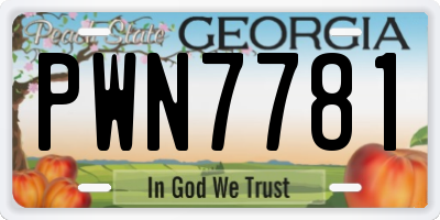 GA license plate PWN7781