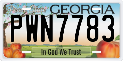 GA license plate PWN7783