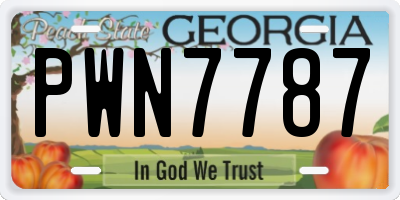GA license plate PWN7787