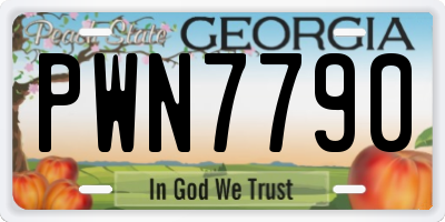 GA license plate PWN7790