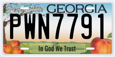 GA license plate PWN7791