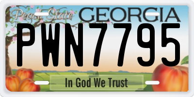 GA license plate PWN7795