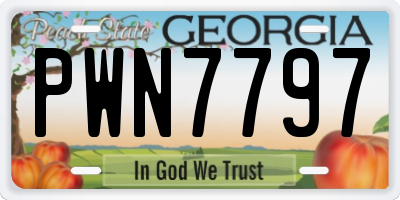GA license plate PWN7797