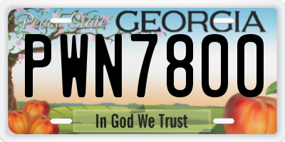 GA license plate PWN7800