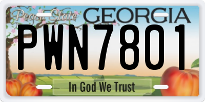 GA license plate PWN7801