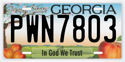 GA license plate PWN7803