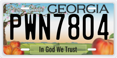 GA license plate PWN7804