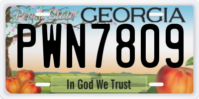GA license plate PWN7809