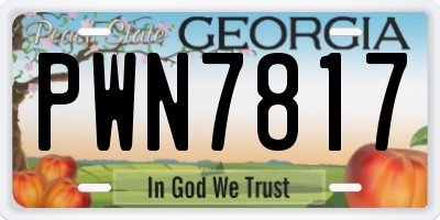 GA license plate PWN7817
