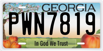 GA license plate PWN7819
