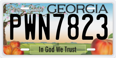GA license plate PWN7823