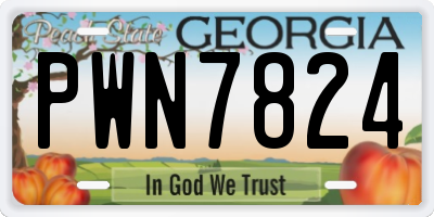 GA license plate PWN7824