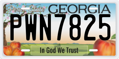 GA license plate PWN7825