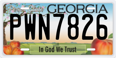 GA license plate PWN7826