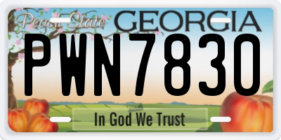GA license plate PWN7830