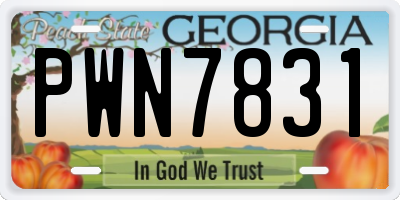 GA license plate PWN7831