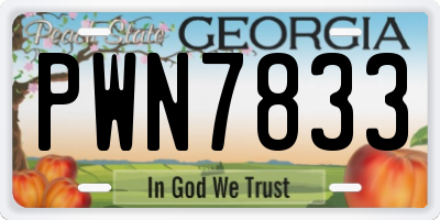 GA license plate PWN7833