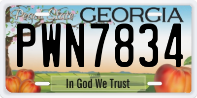 GA license plate PWN7834