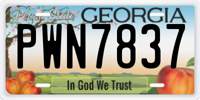 GA license plate PWN7837