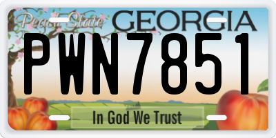 GA license plate PWN7851