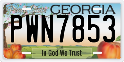 GA license plate PWN7853