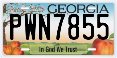 GA license plate PWN7855