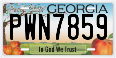 GA license plate PWN7859