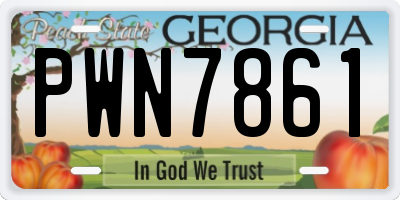 GA license plate PWN7861