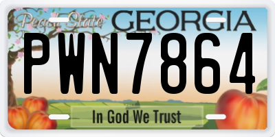 GA license plate PWN7864