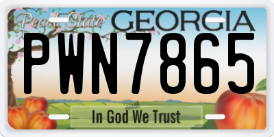 GA license plate PWN7865