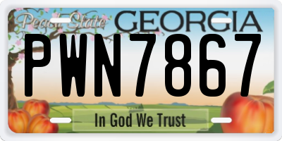 GA license plate PWN7867