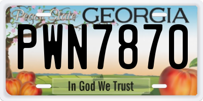 GA license plate PWN7870