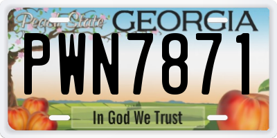 GA license plate PWN7871