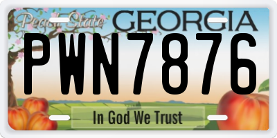GA license plate PWN7876