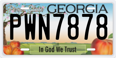 GA license plate PWN7878