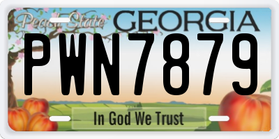 GA license plate PWN7879