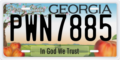 GA license plate PWN7885