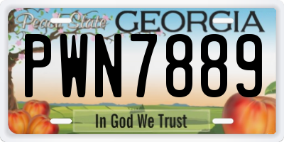 GA license plate PWN7889