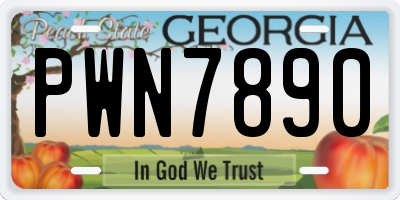 GA license plate PWN7890
